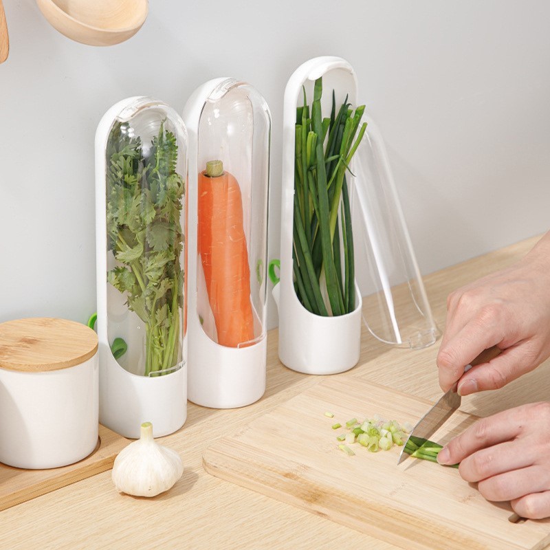 Pojemnik do przechowywania świeżych ziół, na miętę, warzywa do lodówki 25x6,5cm POJ08 - obrazek 3