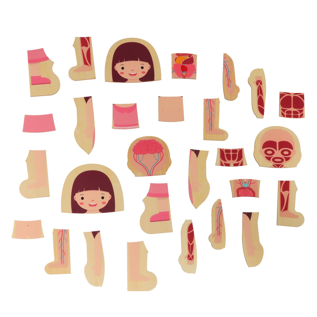 Puzzle drewniane warstwowe budowa ciała montessori dziewczynka - obrazek 6