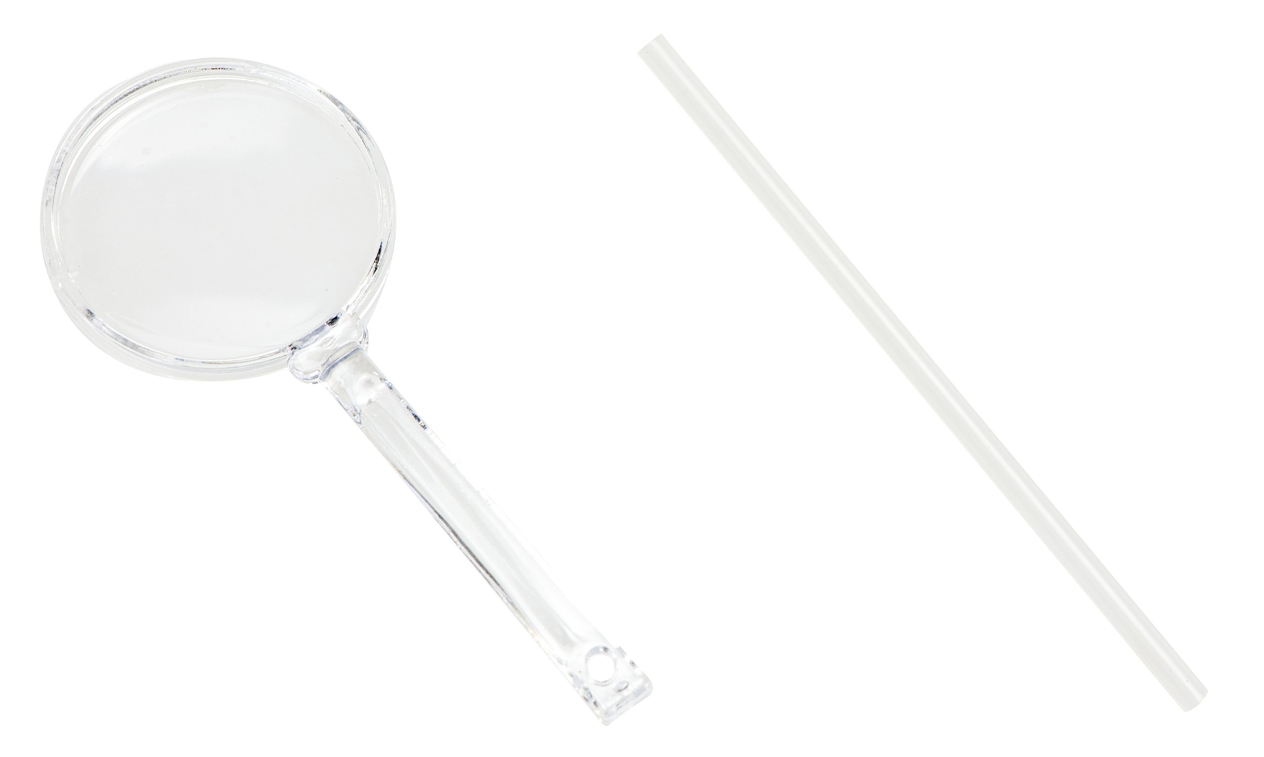 Akwarium edukacyjne żelowe dla mrówek - obrazek 4