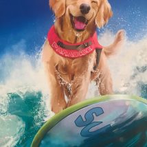 Diamond Painting Haft Diamentowy Mozaika Zestaw 5D 1