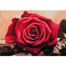 Diamond Painting Haft Diamentowy Mozaika Zestaw 5D Płótno Rama 20X30