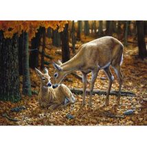 Diamond Painting Haft Diamentowy Mozaika Zestaw 5D Płótno Rama 30X40