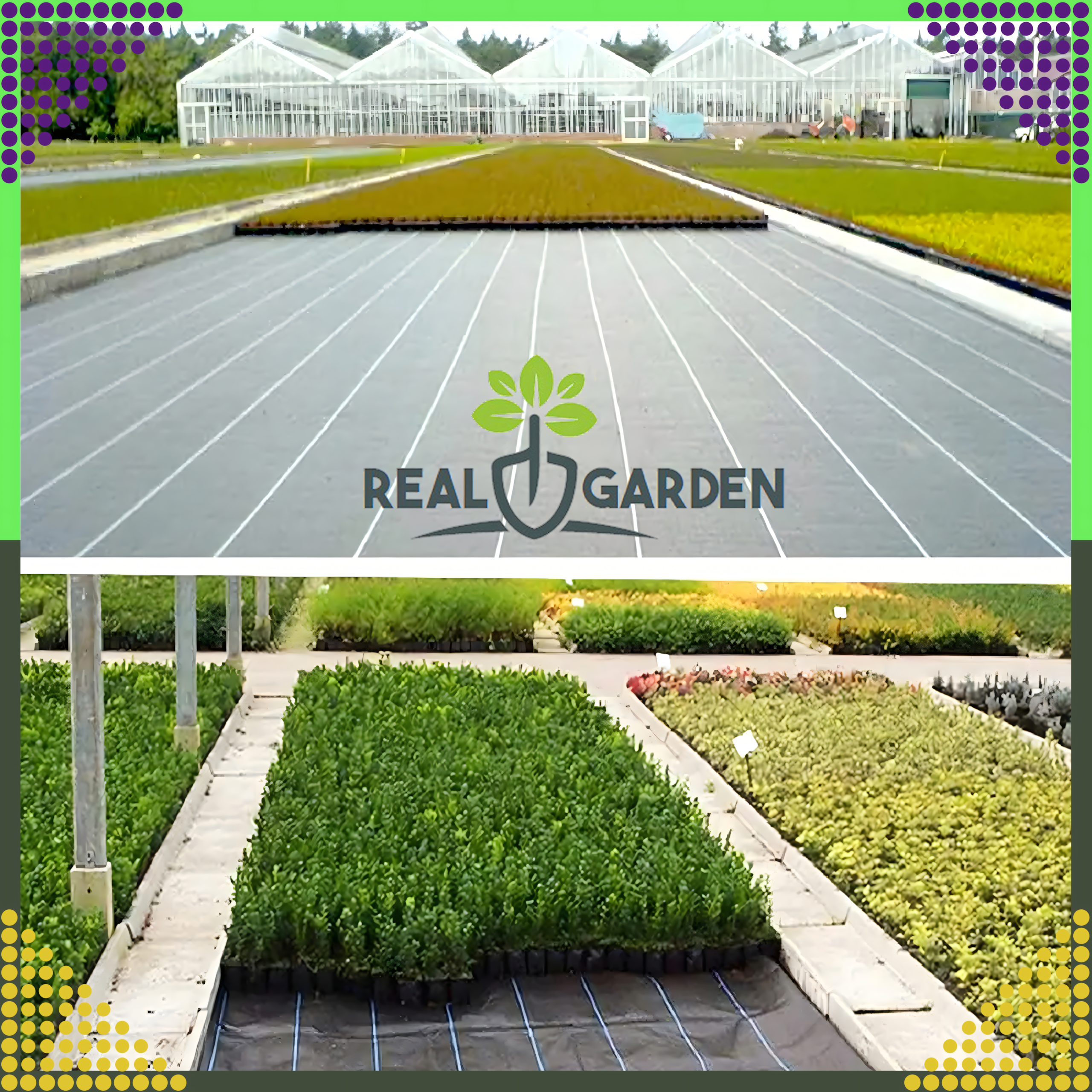 Agrowłóknina 70g 1,6x100m Czarna UV Agrotkanina Mata Antychwastowa + Kotwy - obrazek 8