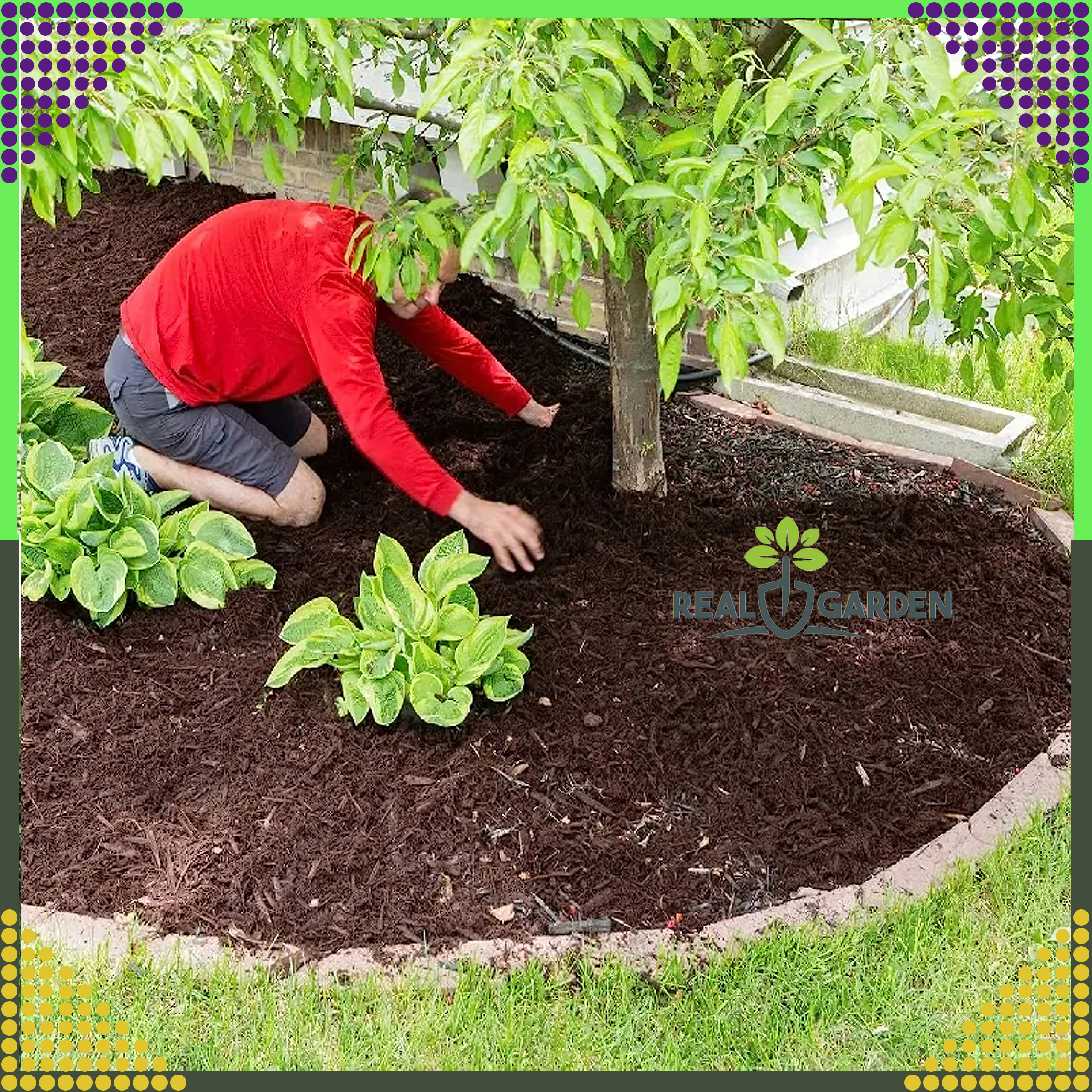 Agrowłóknina 70g 1,6x100m Biała UV Agrotkanina Mata Antychwastowa + Kotwy - obrazek 5