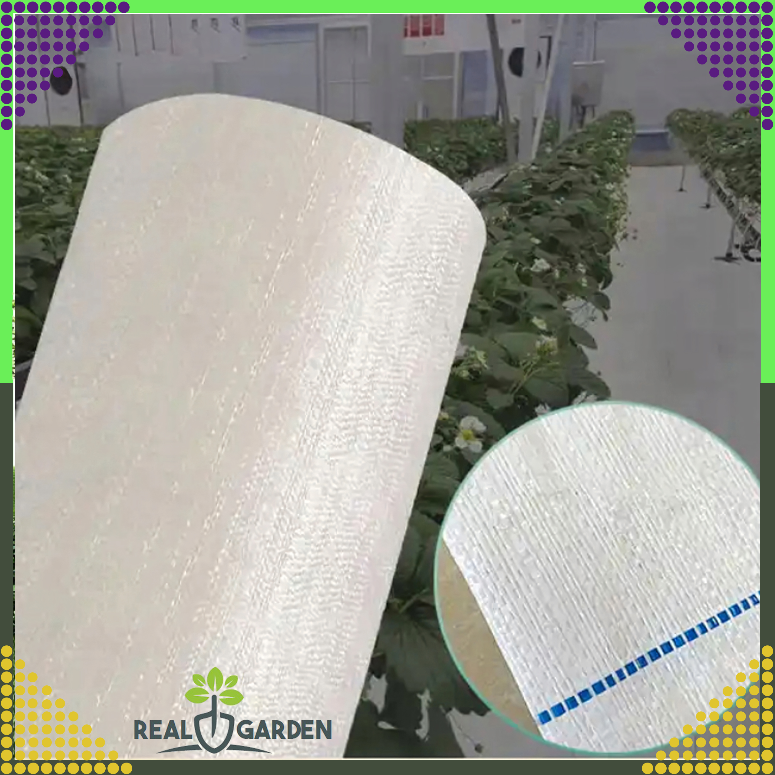 Agrowłóknina 70g 1,6x100m Biała UV Agrotkanina Mata Antychwastowa + Kotwy - obrazek 7