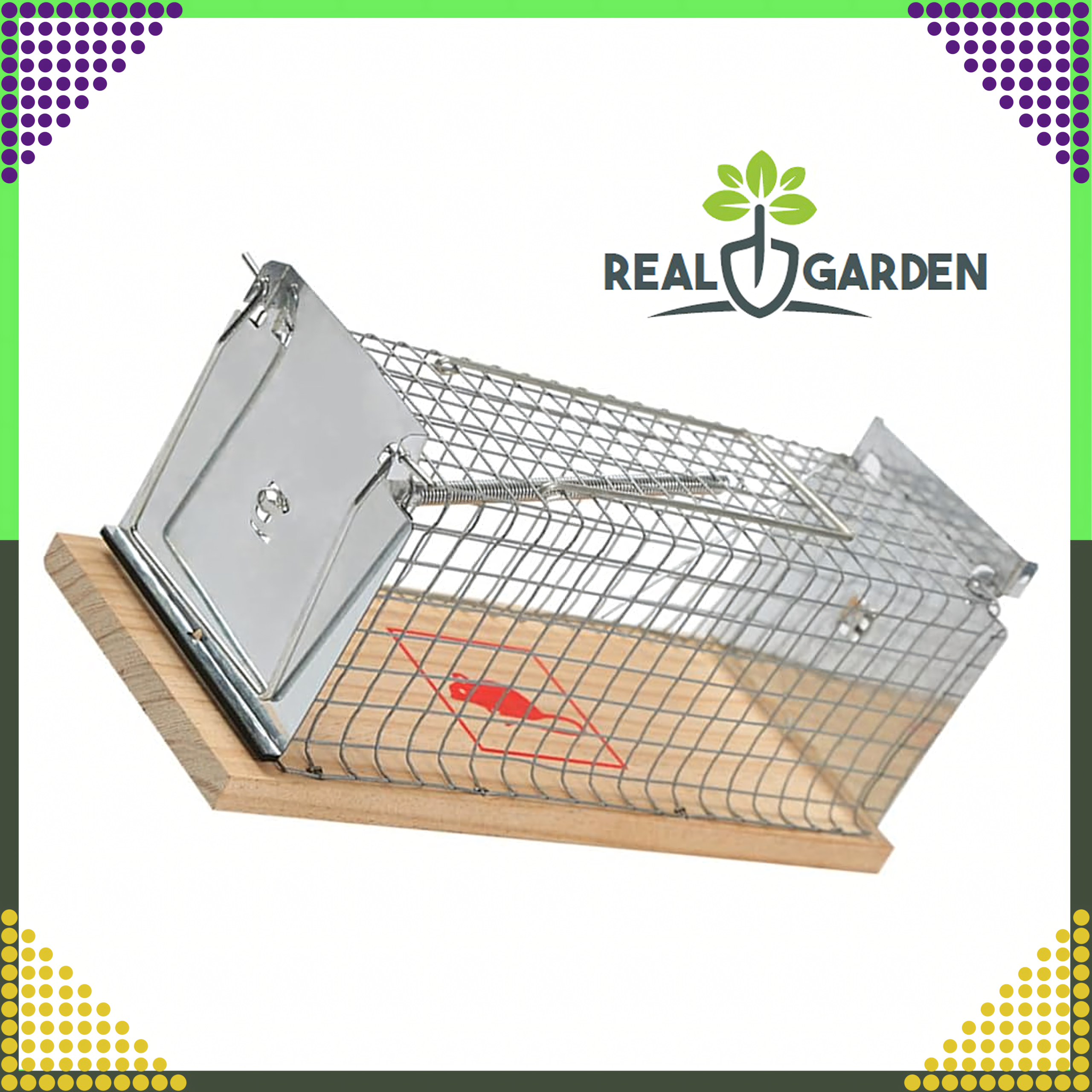 2x Humanitarna Pułapka Żywołapka na Szczury Gryzonie Łapka do Łapania XXL - obrazek 3