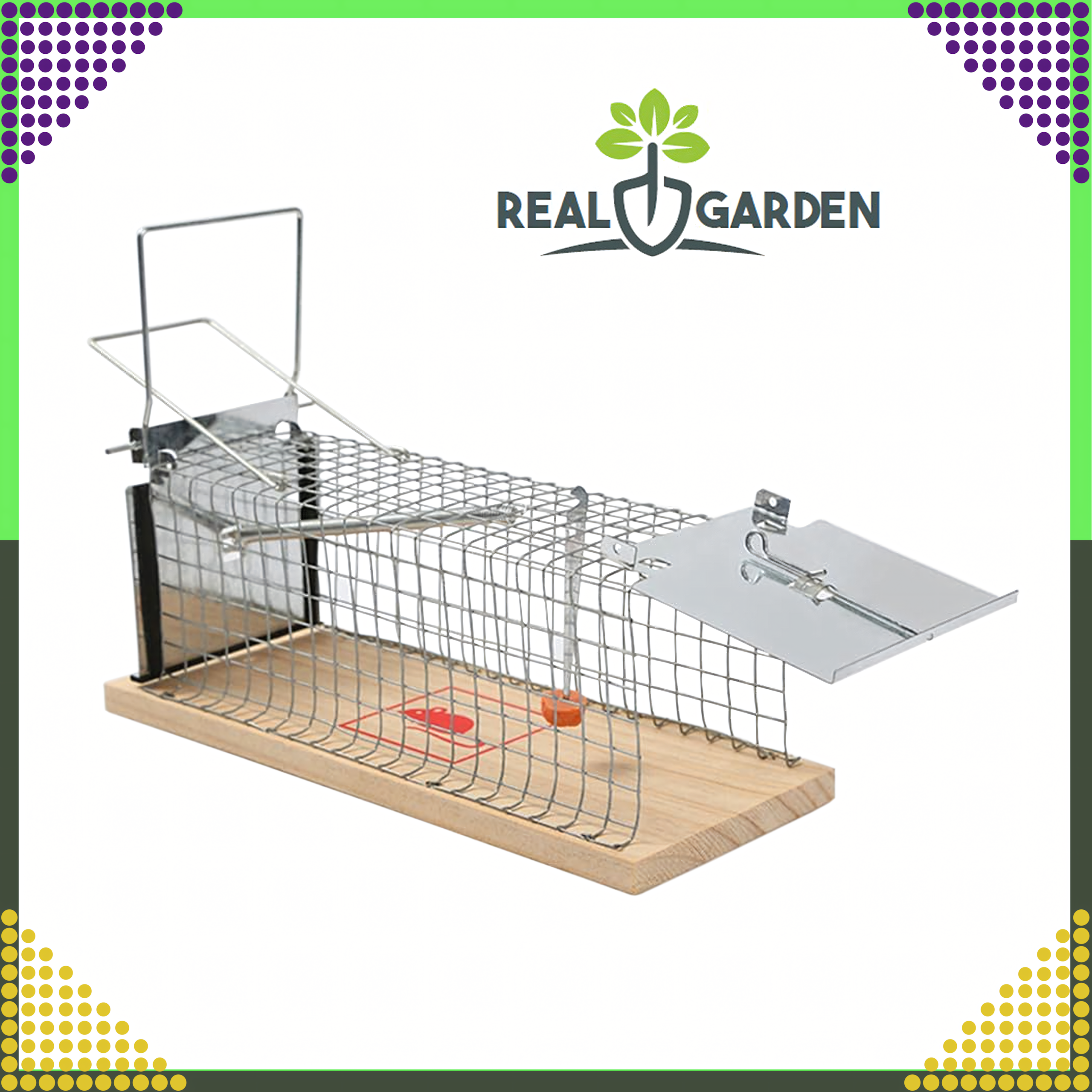 2x Humanitarna Pułapka Żywołapka na Szczury Gryzonie Łapka do Łapania XXL - obrazek 7