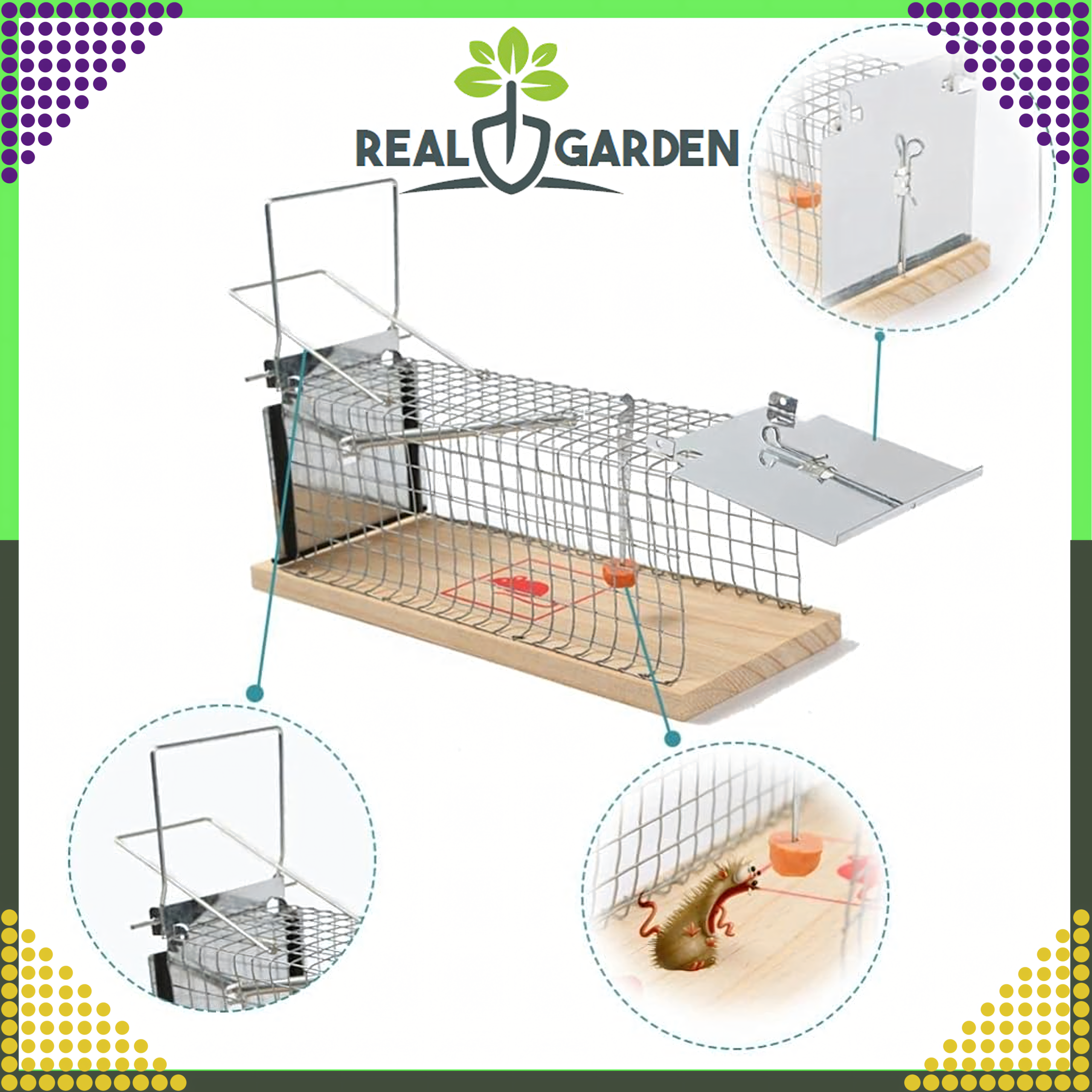 2x Humanitarna Pułapka Żywołapka na Szczury Gryzonie Łapka do Łapania XXL - obrazek 10