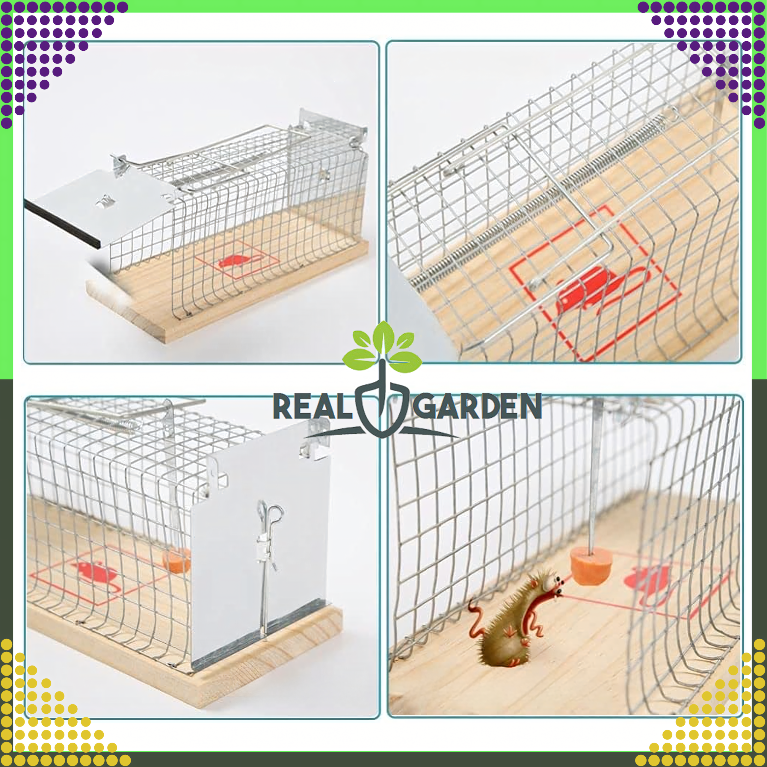 2x Humanitarna Pułapka Żywołapka na Szczury Gryzonie Łapka do Łapania XXL - obrazek 11