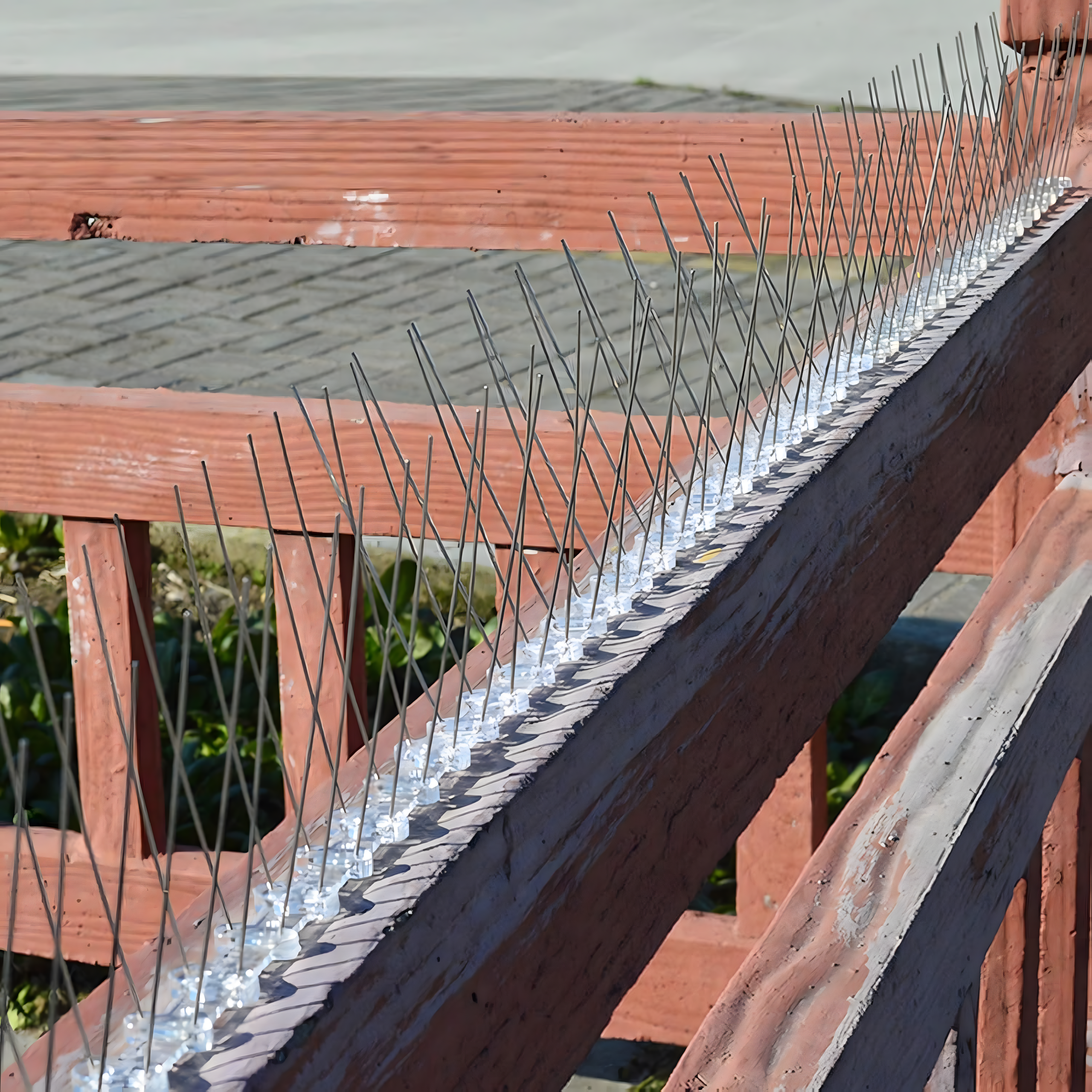 100 x METALOWE STALOWE NIERDZEWNE KOLCE NA PTAKI GOŁĘBIE WRÓBLE NA PARAPET GZYMS 50CM - obrazek 9