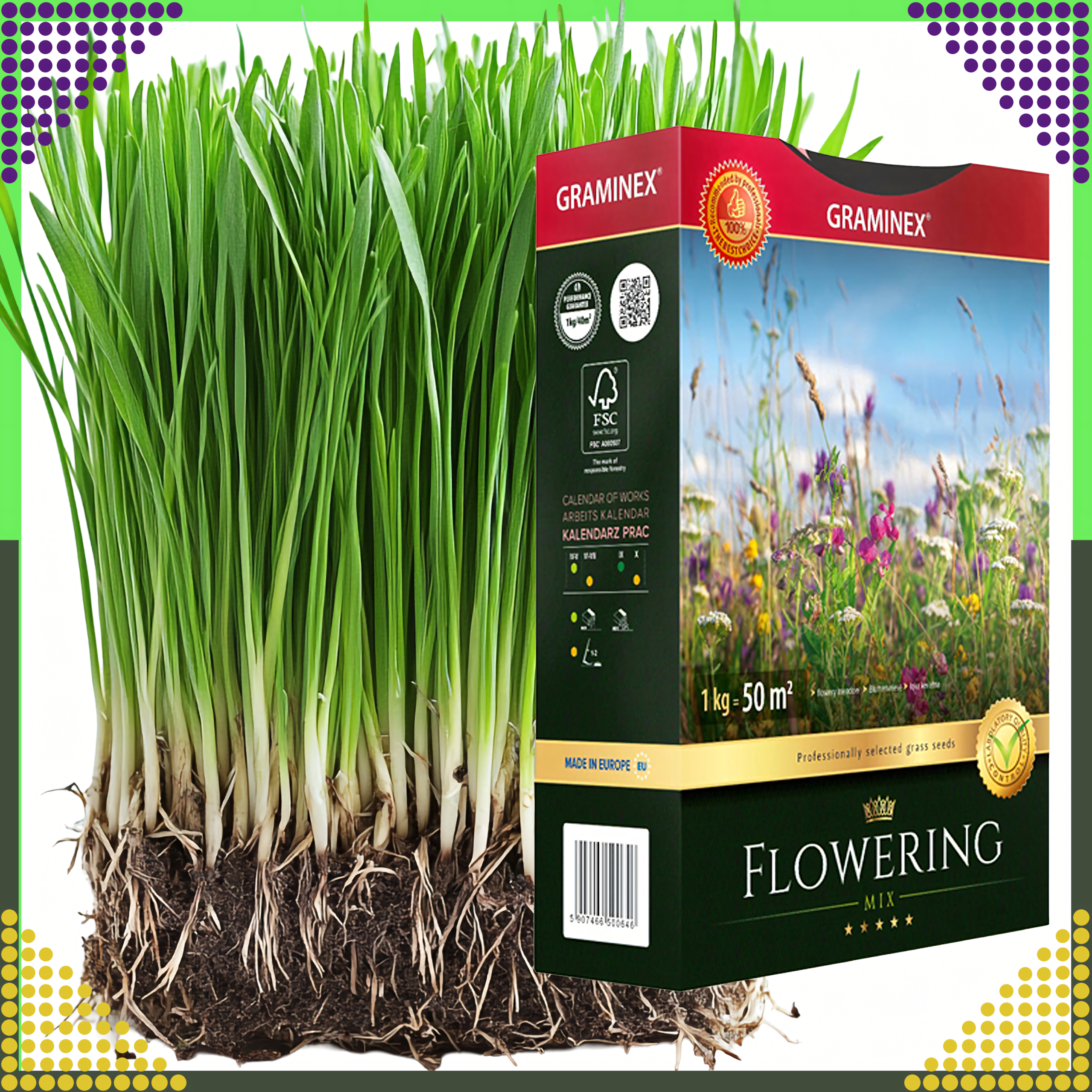 Premium Trawa Mieszanka FLOWERING Mix 1kg 40m Trawnik Łąka Kwiatowa Nasiona - obrazek 6