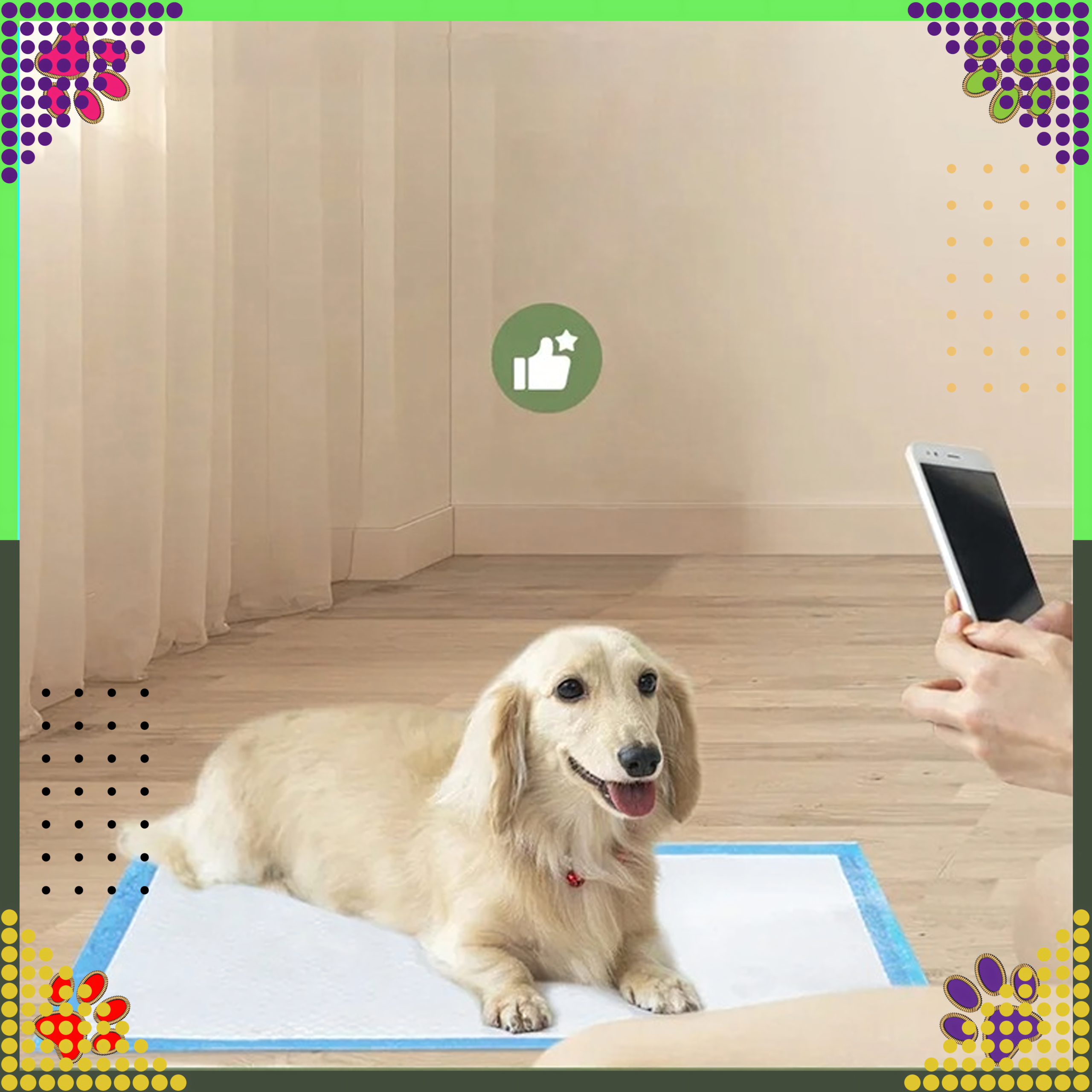 Paleta Podkłady Maty Higieniczne dla Psa do Nauki Sikania 60x90cm 168 Paczek x 50szt. - obrazek 8