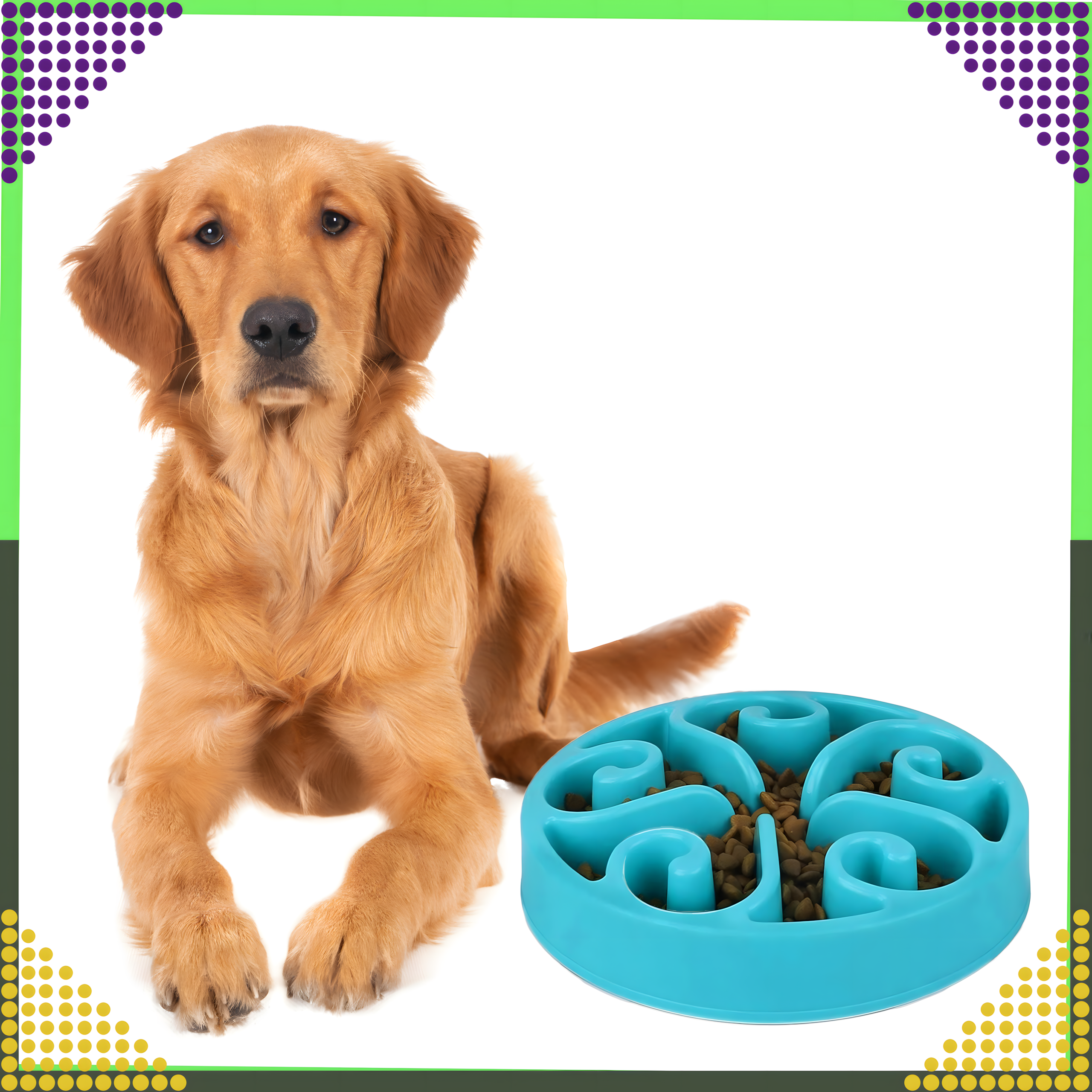 Miska Spowalniająca Jedzenie dla Psa Kota Zwierząt Duża z Przegrodami - obrazek 10