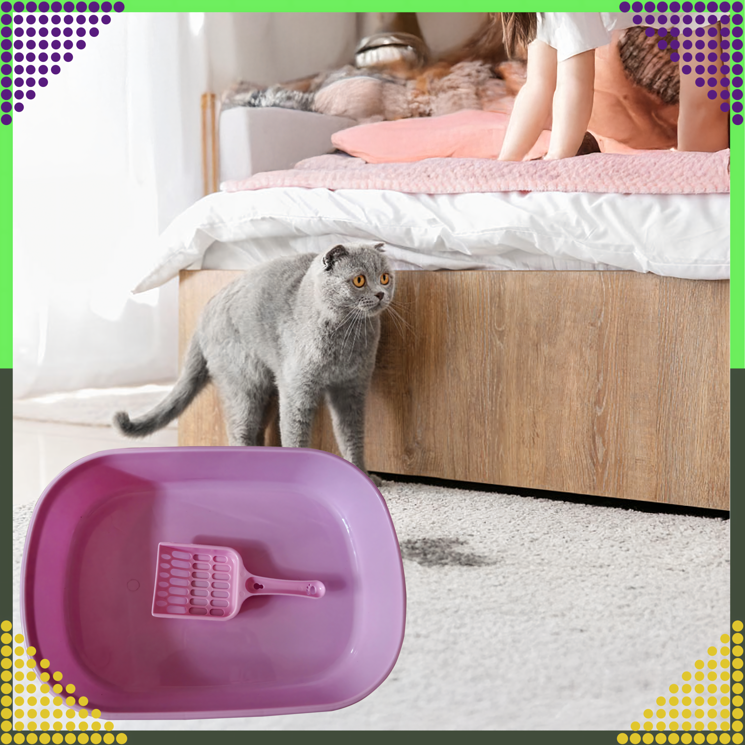 Kuweta dla Kota Kotów Kociąt z Łopatką Toaleta na Żwirek Otwarta Prosta - obrazek 9