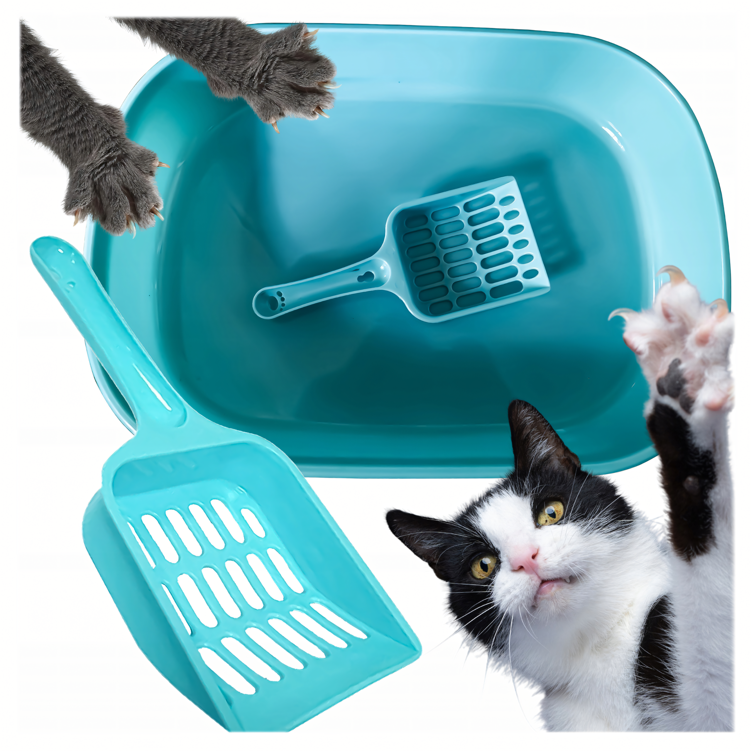 Kuweta dla Kota Kotów Kociąt z Łopatką Toaleta na Żwirek Otwarta Duża - obrazek 4