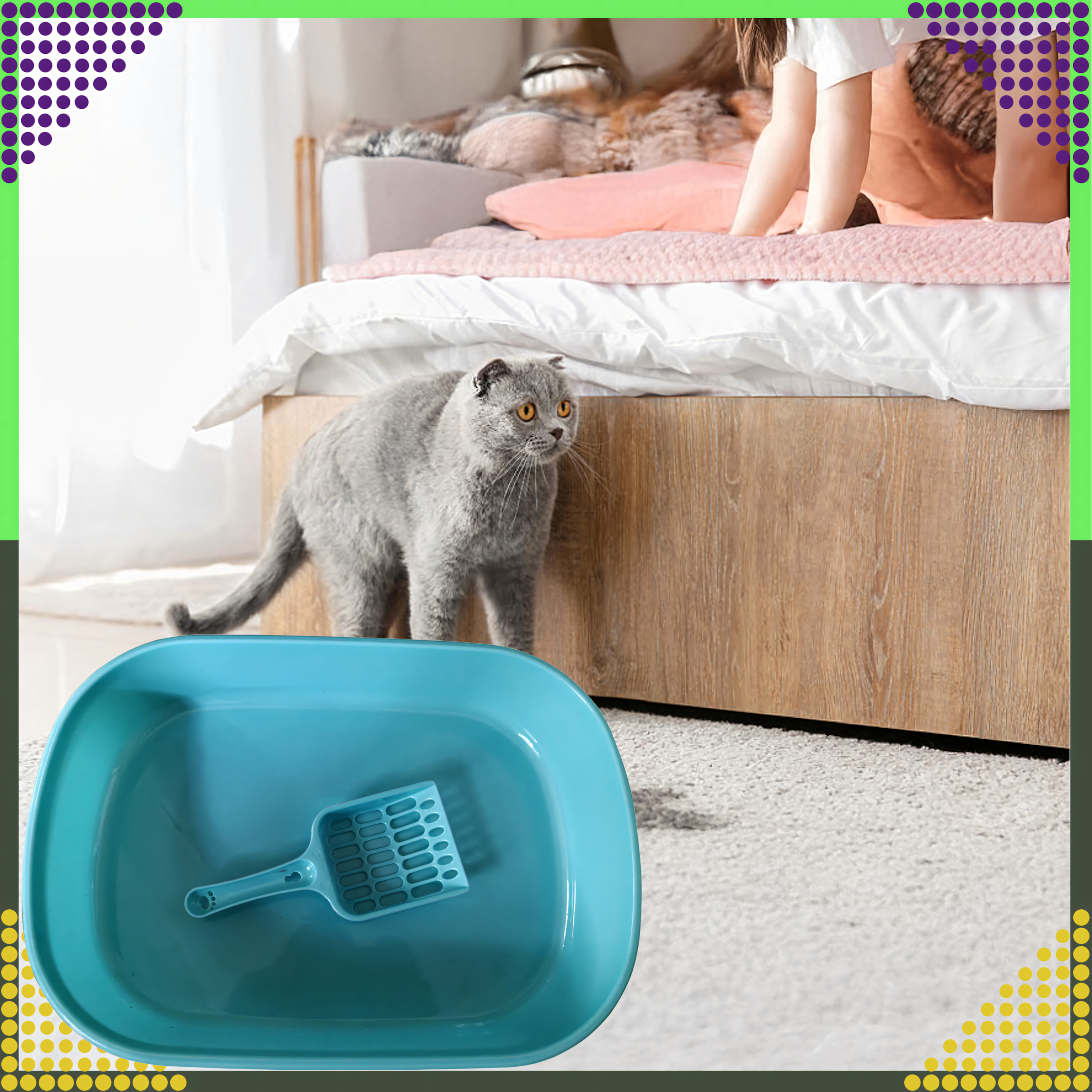 Kuweta dla Kota Kotów Kociąt z Łopatką Toaleta na Żwirek Otwarta Duża - obrazek 9