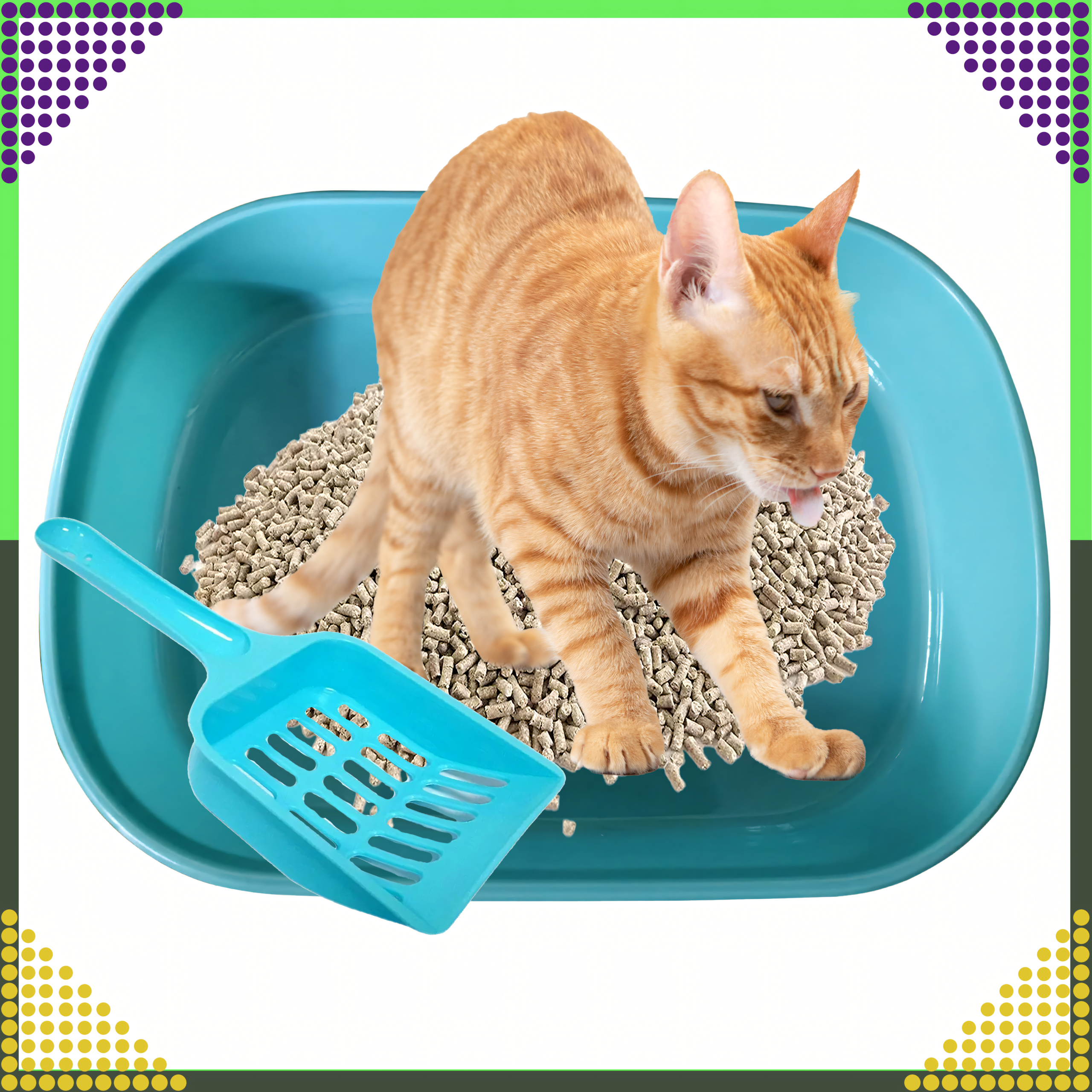 Kuweta dla Kota Kotów Kociąt z Łopatką Toaleta na Żwirek Otwarta Duża - obrazek 11