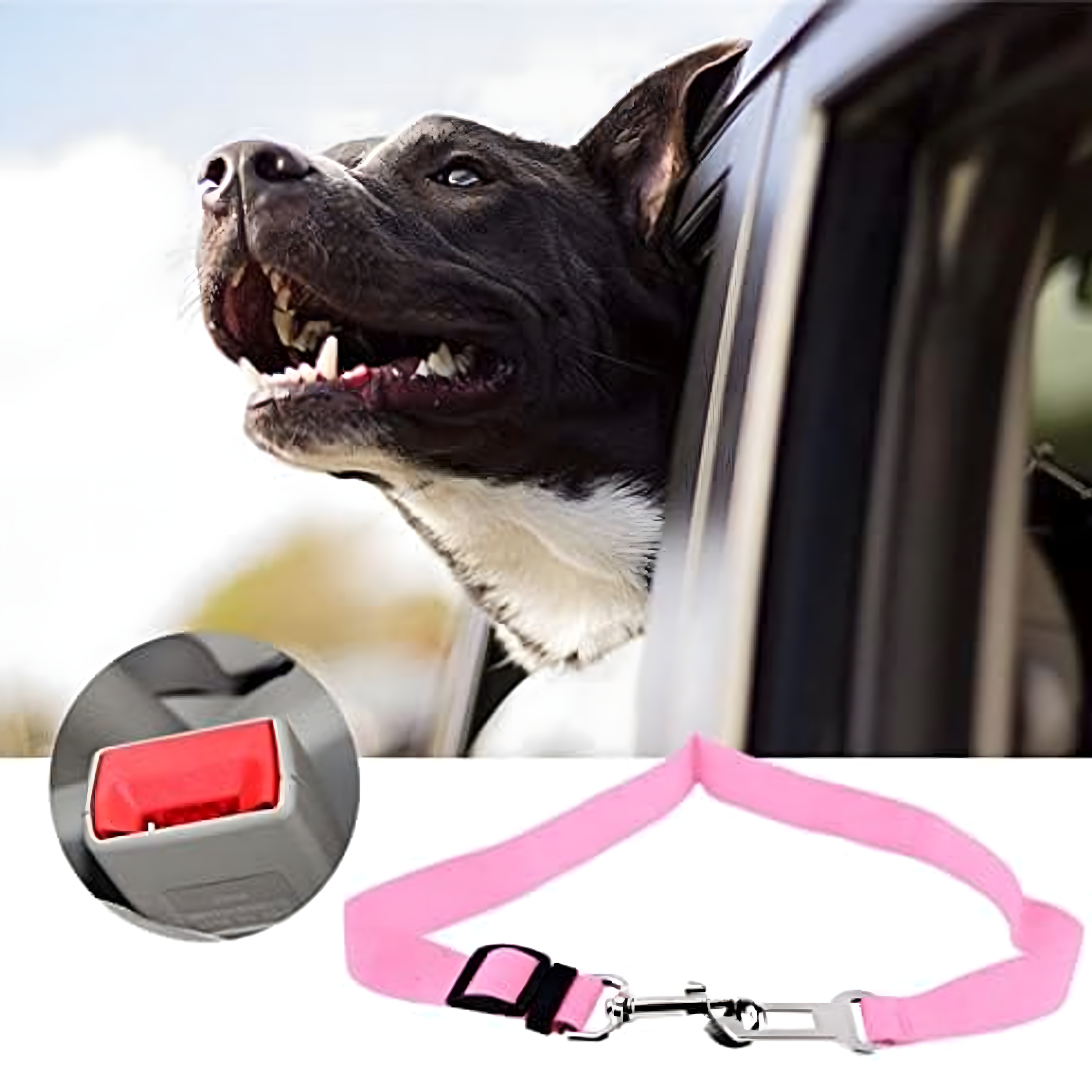 Pas Bezpieczeństwa dla Psa Kota do Samochodu Smycz Regulowana do Auta - obrazek 4