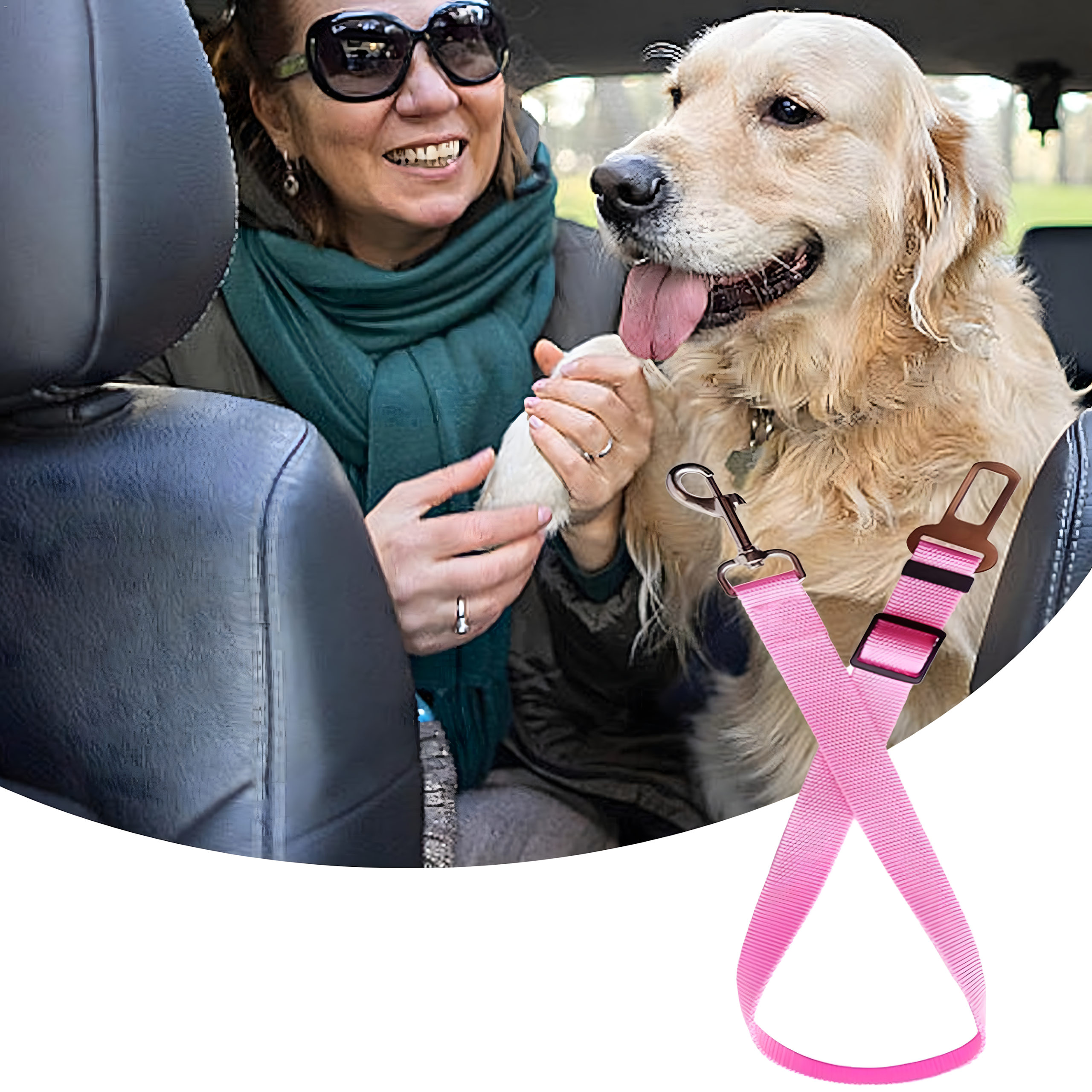 Pas Bezpieczeństwa dla Psa Kota do Samochodu Smycz Regulowana do Auta - obrazek 7