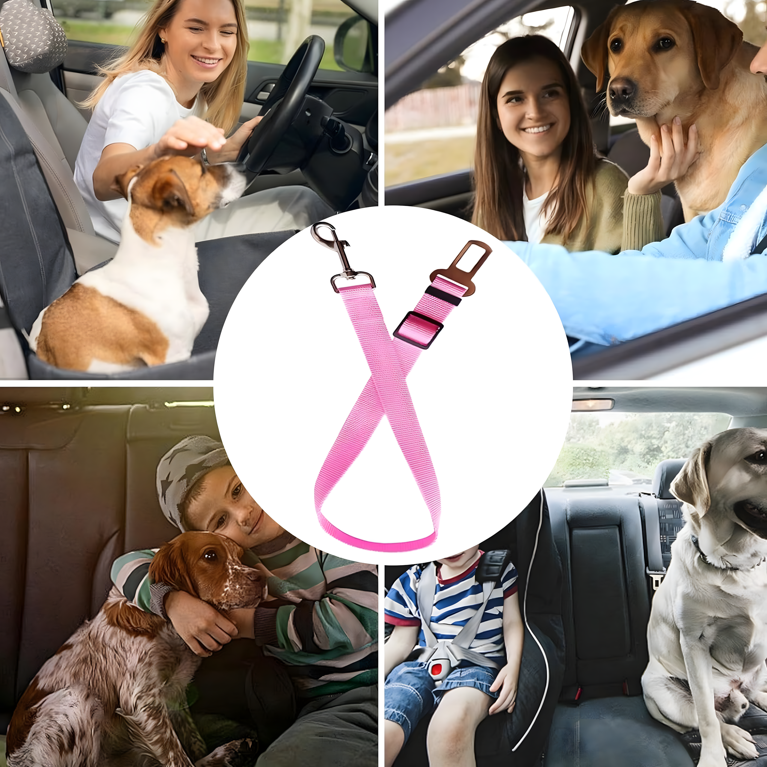 Pas Bezpieczeństwa dla Psa Kota do Samochodu Smycz Regulowana do Auta - obrazek 8