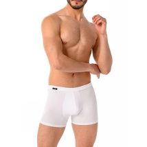 Bokserki Model Levi 801 White – Teyli