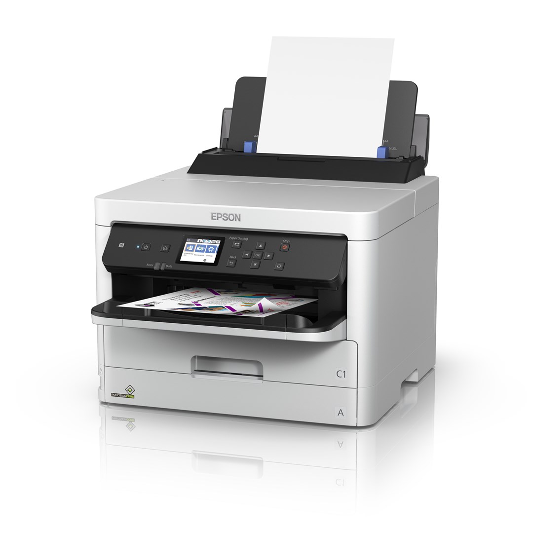 Epson DURABrite Pro - obrazek 4