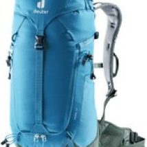 Szlak 18 bluszcz falisty