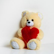 Miś FRANK 50cm kremowy