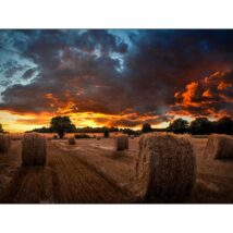 Samsung VM55B-U LED Wewnętrzna