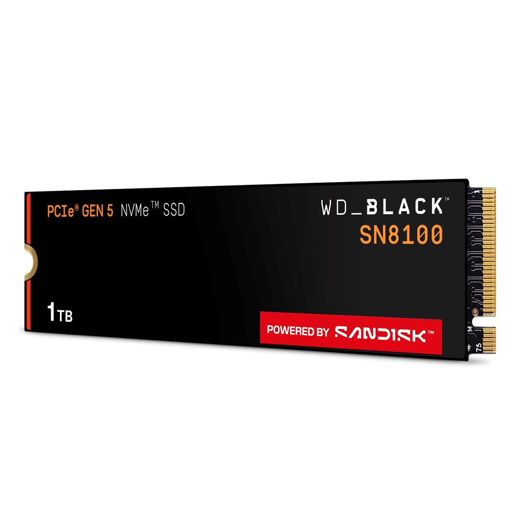 SSD WD Black SN8100 w/o HS 1TB WDS100T1X0M - obrazek 4