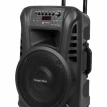 Aktywna kolumna głośnikowa (z 2 mikrofonami bezprzewodowymi UHF, SD, Bluetooth, FM, USB) 40 Watt