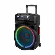 Aktywna kolumna głośnikowa (z 2 mikrofonami bezprzewodowymi UHF, SD, Bluetooth, FM, USB, LED) 60 Watt