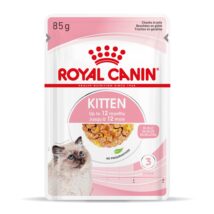 Royal Canin FHN Kitten Instinctive w galaretce – mokra karma dla kociąt – 12x85g