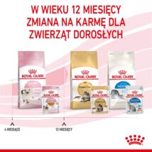 ROYAL CANIN FHN Kitten Instinctive in Jelly – mokra karma dla kociąt – 12x85g