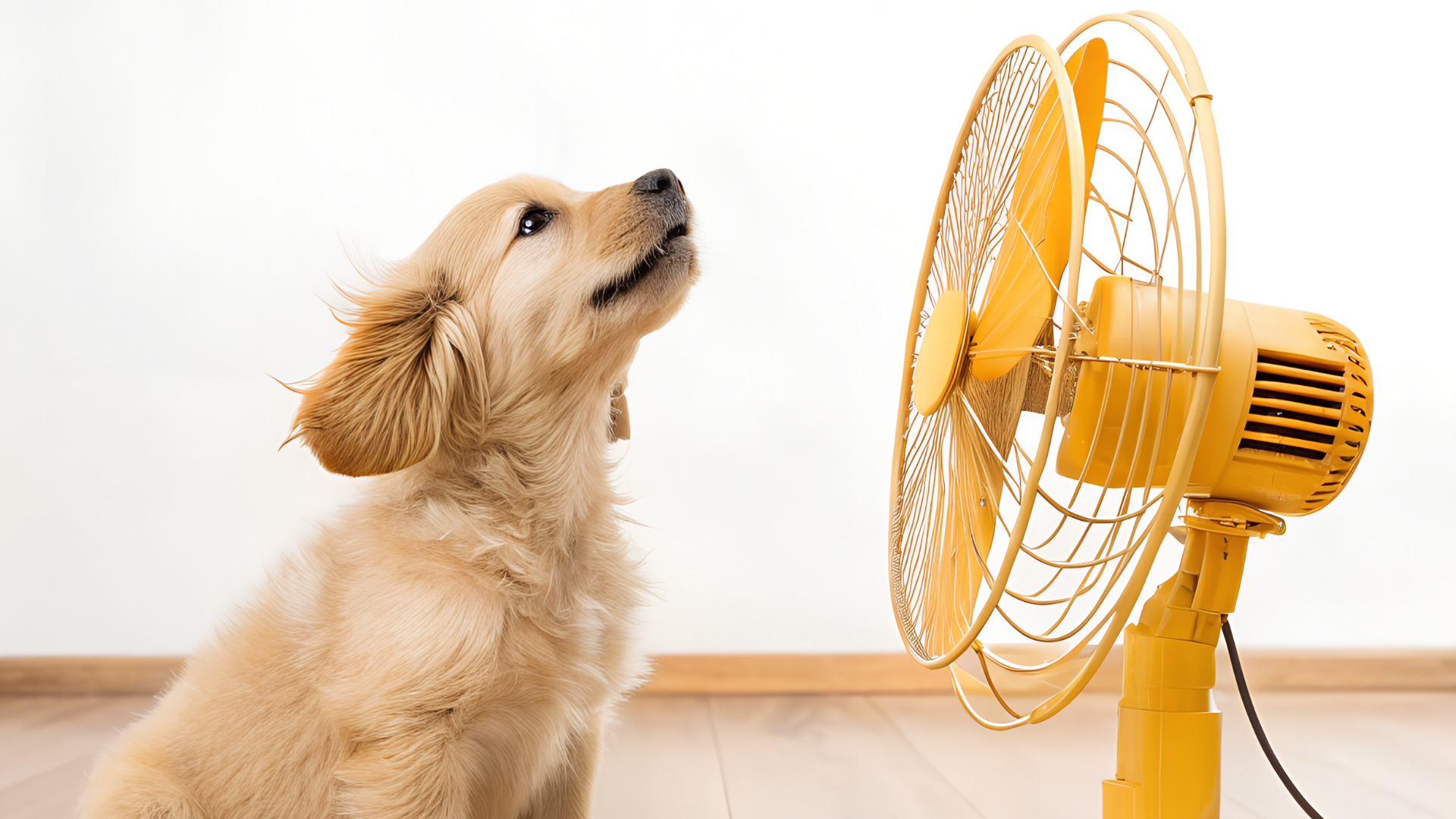 Jak tanio podnieść komfort mieszkania dzięki prostym gadżetom smart home? – Rzeszów